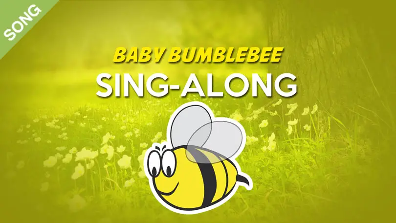 Baby Bumblebee | Song For Kids